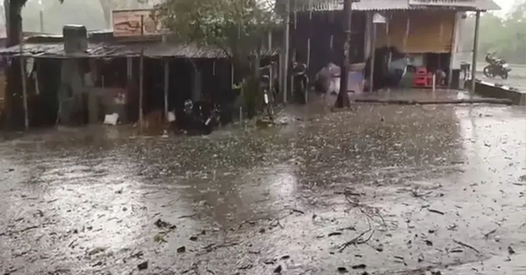 নাটোরে শিলাবৃষ্টি